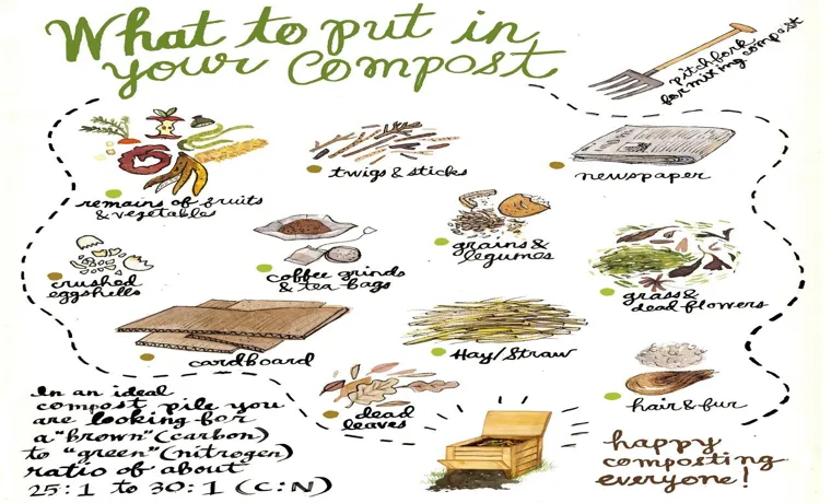 What Food Can You Put in a Compost Bin: A Complete Guide