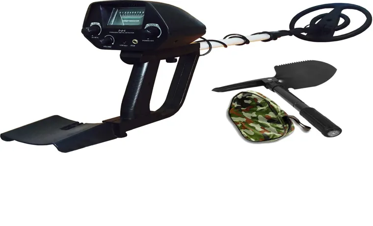 What is a Good Starter Metal Detector? Top 5 Picks for Beginners