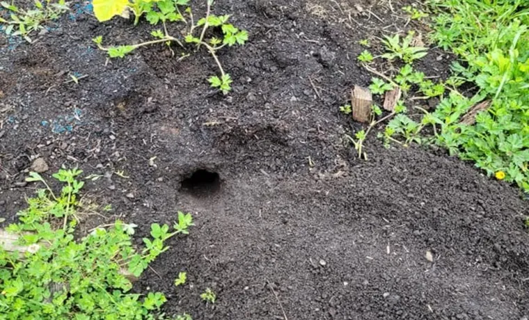 What Is Burrowing in My Compost Bin? Uncovering the Mystery of Unexpected Guests