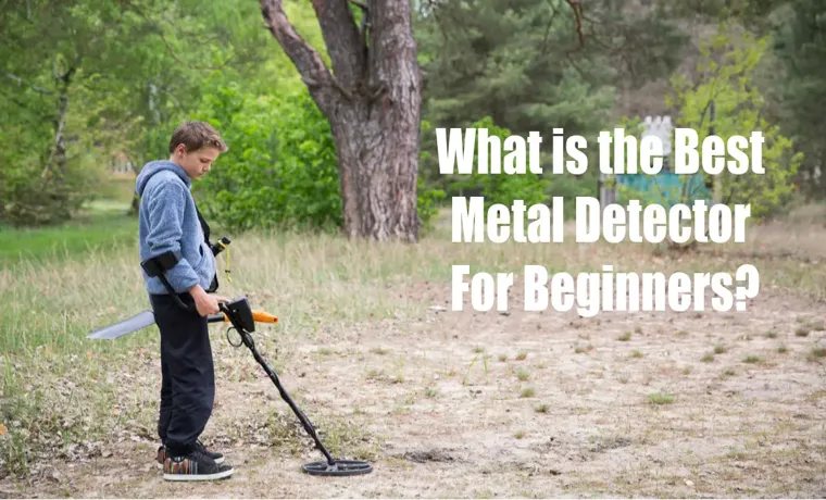 What is it called when someone uses a metal detector? Exploring the Role of Metal Detectors in Treasure Hunting