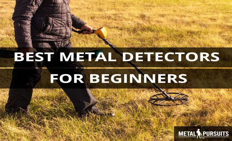what is the best metal detector for beginners