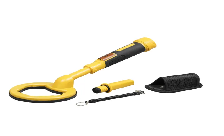 What is the Cost of a Metal Detector? A Detailed Guide to Choosing the Right Device