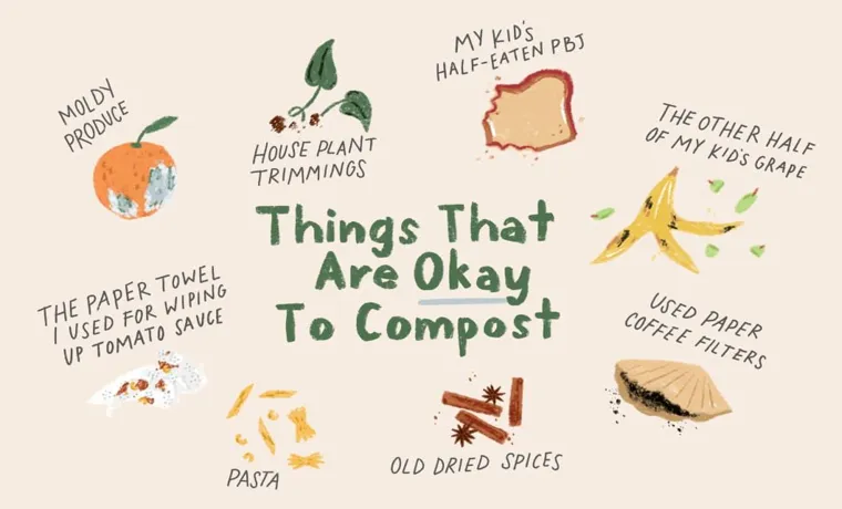 What Should a Compost Bin Sit On? The Best Bases for Effective Composting