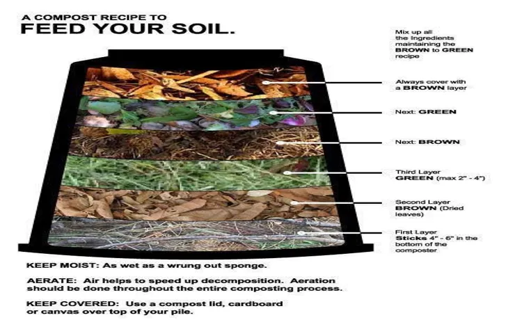 What Should I Put in My Compost Bin to Create Nutrient-Rich Soil?