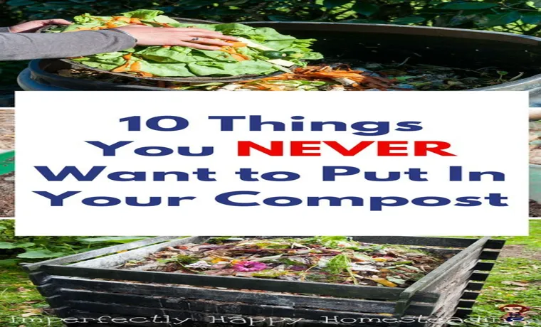 What Should You Put in a Compost Bin: Essential Guide for Efficient Composting