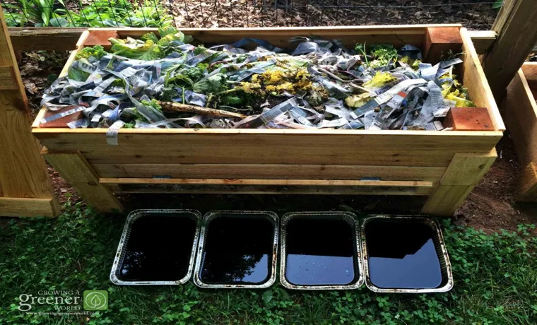 What to Put in a Worm Compost Bin: Essential Guide for Nutrient-Rich Soil