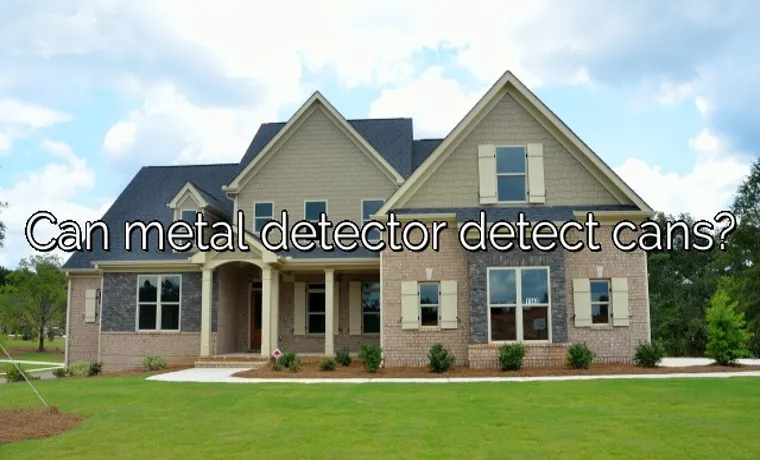 what type of metals can a metal detector detect