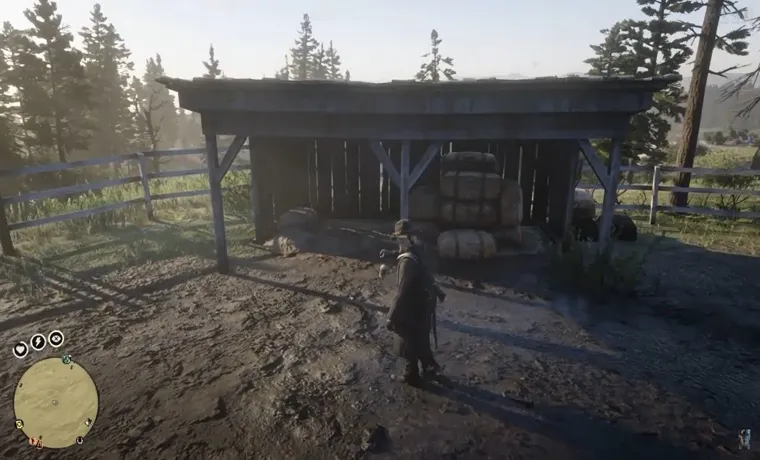 where is the metal detector in rdr2 online