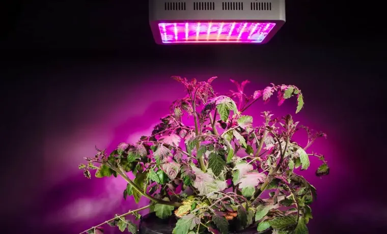 300 watt led grow light how close to plants