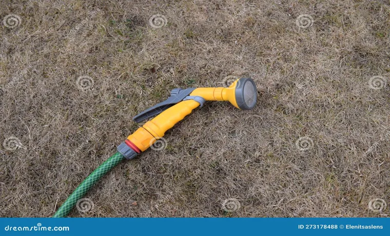 a garden hose that had been lying
