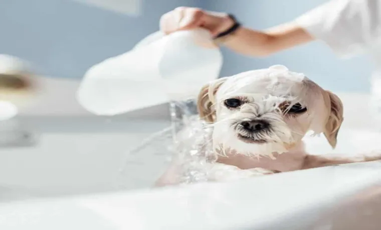 can you give a dog a bath with garden hose