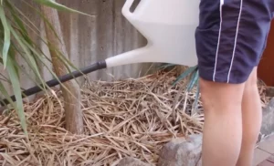 Can You Put New Connections on an Old Garden Hose? Upgrade Your Watering System!