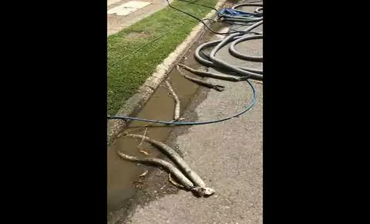 can you suck a golf ball through a garden hose