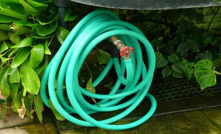 Does a Garden Hose Need to be Removed for Winter? Ultimate Guide