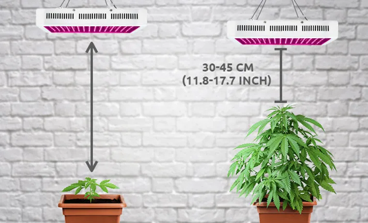 how close should a led grow light be to seedlings