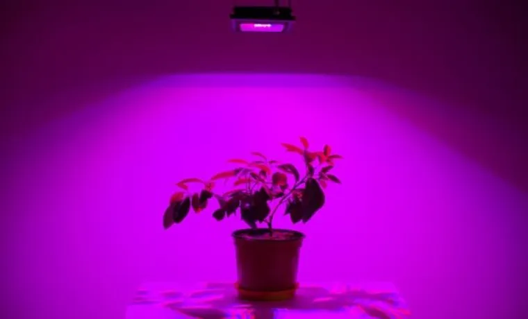 how far away sgould i hang led grow light from plant