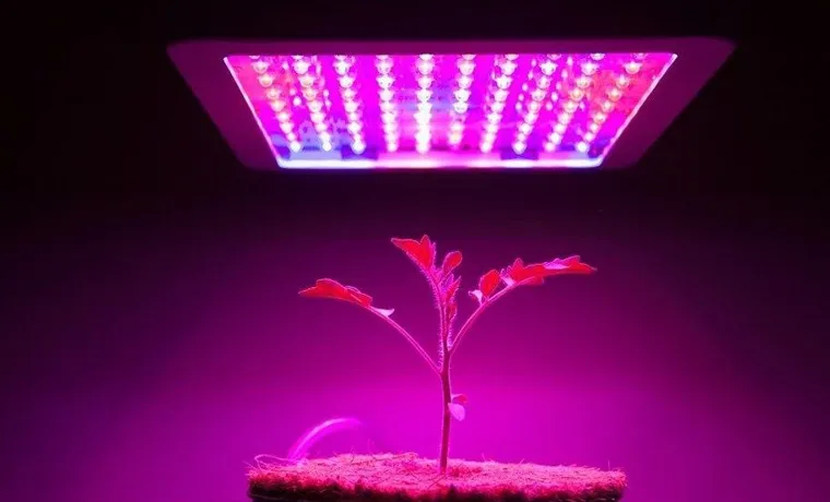 how high should i hang my led grow light