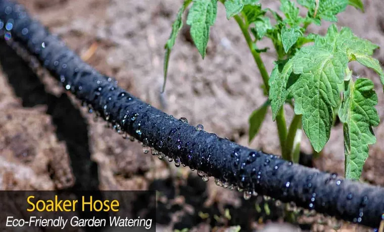 how long to using soaker hose for vegetable garden
