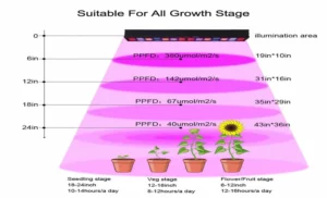 How Many Lumens Does a 45 Watt LED Grow Light Put Out? Explained