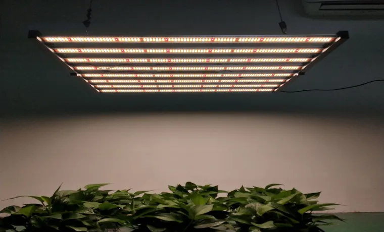 How Many Watts Does a 600 Watt LED Grow Light Use? | All You Need to Know