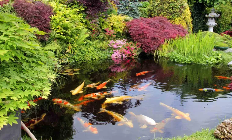 how much does pond liner cost