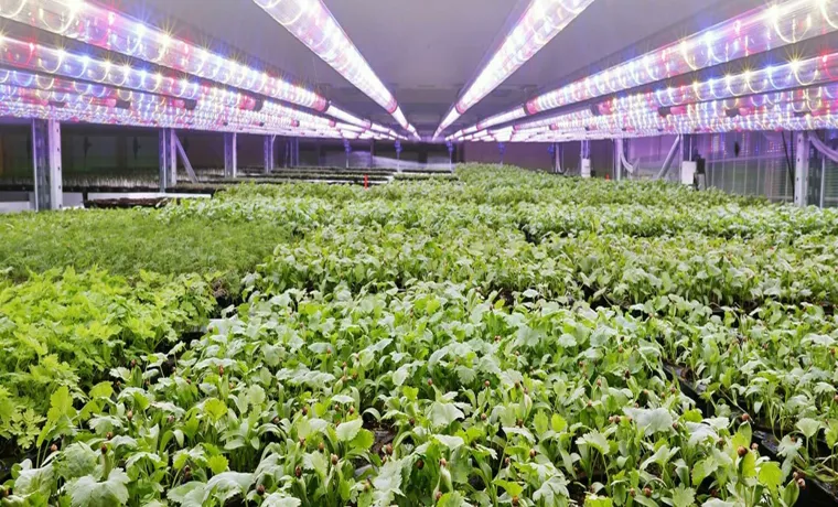 how much electricity does a 600w led grow light use