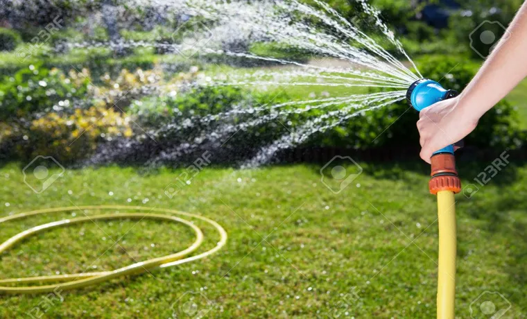 How Much Does It Cost to Add a Garden Hose to Your Backyard?