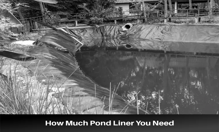 how much pond liner will i need
