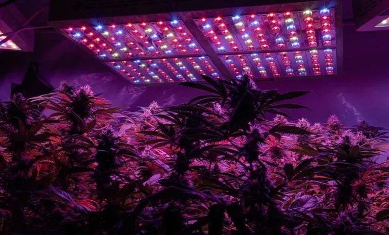 how strong of an led grow light do i need for autoflowering weed 4