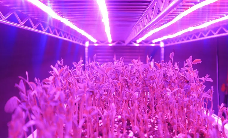 how to build a led grow light system