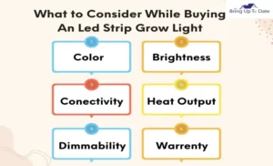 How to Choose LED Grow Light Color for Optimal Plant Growth