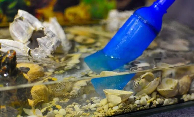How to Drain a Fish Tank with a Garden Hose: A Step-by-Step Guide