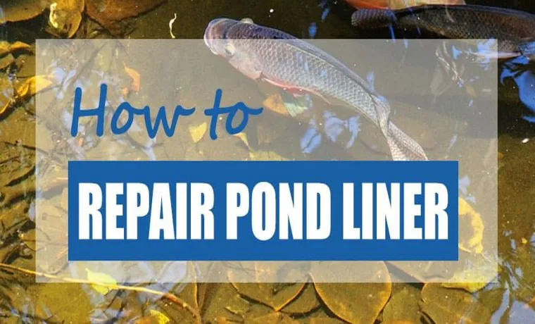 how to find a pond liner leak
