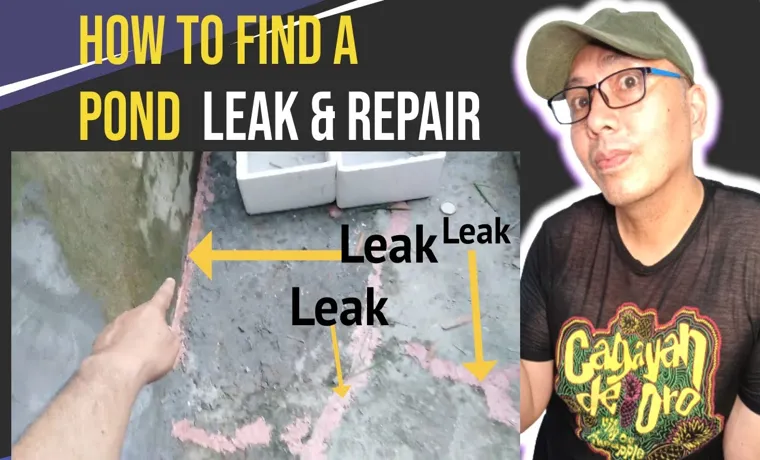 how to find leak in koi pond liner
