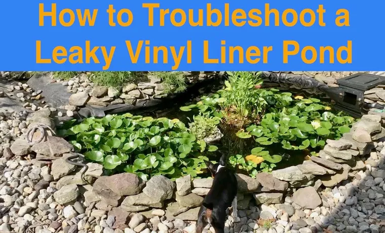 how to find leak in vinyl pond liner