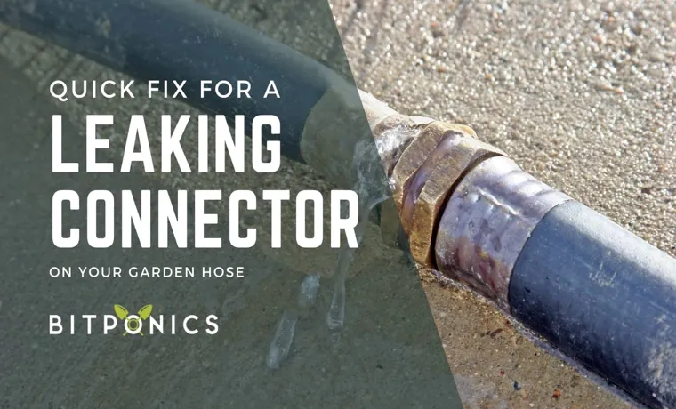 How to Fix Garden Hose Connector: Simple Solutions for a Leaky Connection