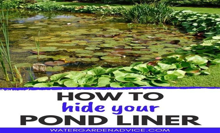 how to hide pond liner