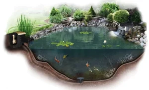 How to Install a Fish Pond Liner: A Step-by-Step Guide