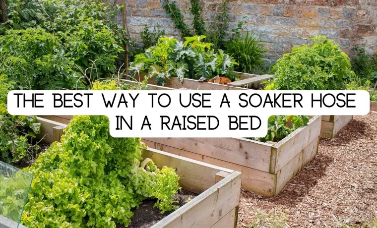How to Install Soaker Hose in Raised Garden Bed: A Complete Guide