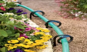 How to Keep Garden Hose Off Grass: 5 Practical Solutions for a Neat and Tidy Yard