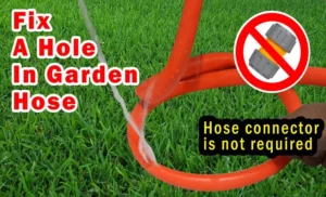 How to Patch a Hole in a Garden Hose: Repair Tips and Tricks