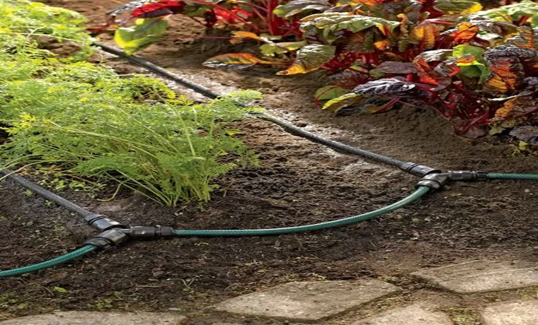 how to place soaker hose in vegetable garden