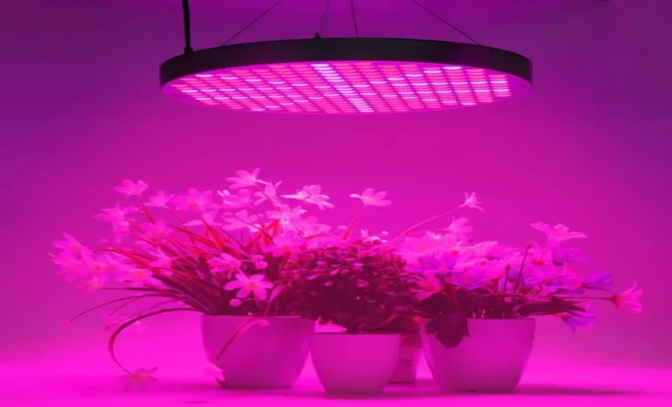 how to position led grow light 2