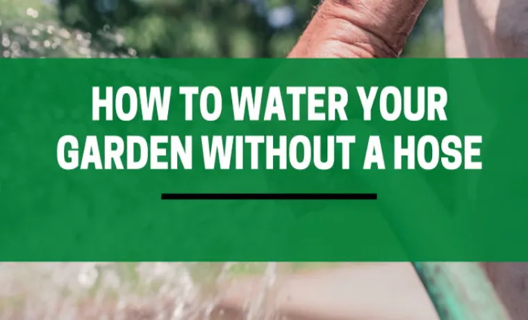 how to properly water your garden without a hose porn
