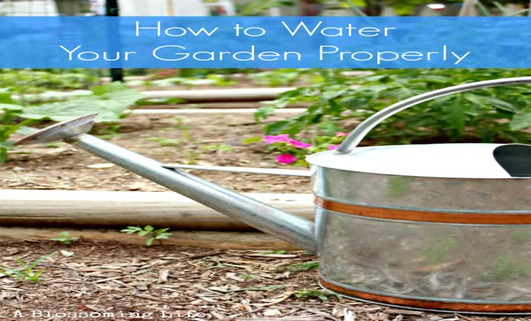 how to properly water your garden without a hose