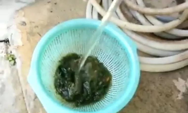 how to remove algae from garden hose