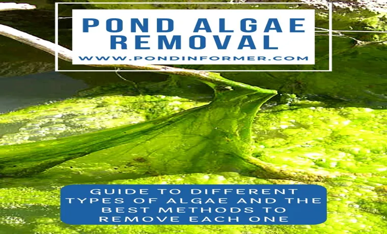 how to remove algae from pond liner