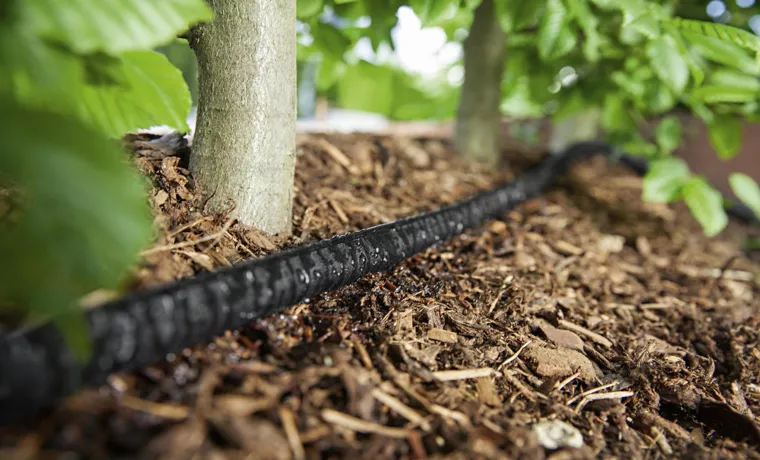 how to set up a soaker hose in garden