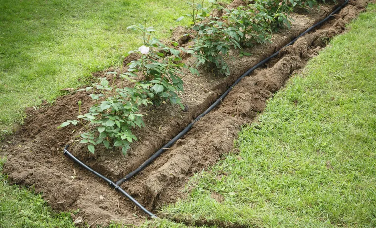 how to set up a soaker hose in garden