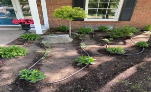 How to Set Up Garden Soaker Hose for Efficient Irrigation